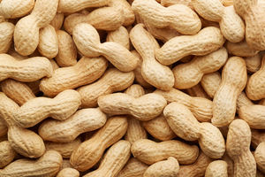 Cure of Peanut Allergy